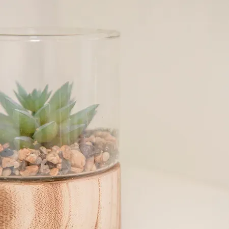 Liiiving In - Carlos Alberto Apartman