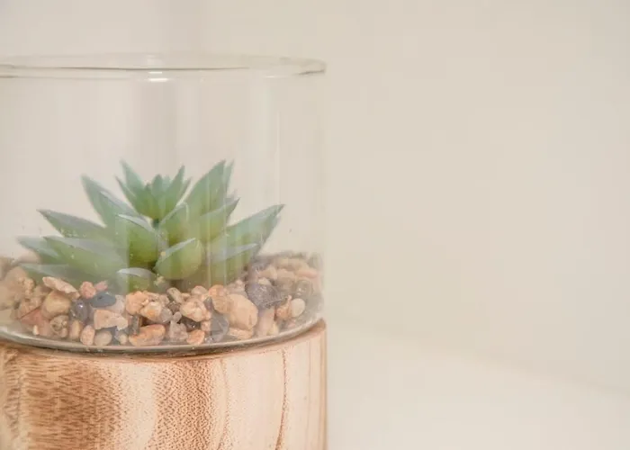 Апартаменты Liiiving In - Carlos Alberto